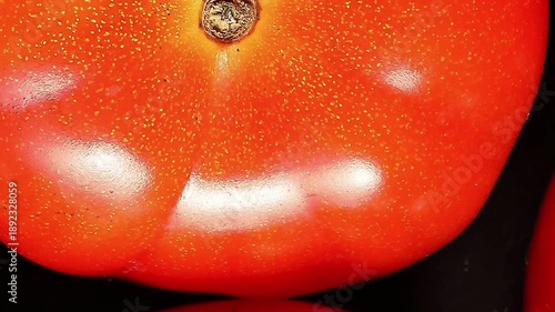 Fresh ripe small shiny cherry red tomato spin rotate zoom out on black background