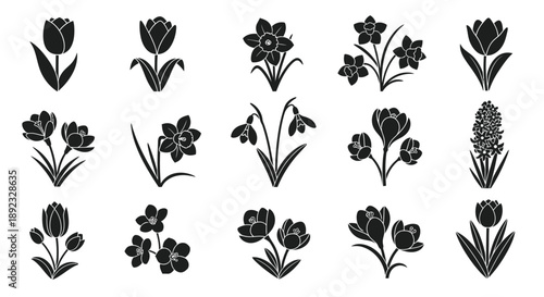 Collection of various black flower silhouettes on white background