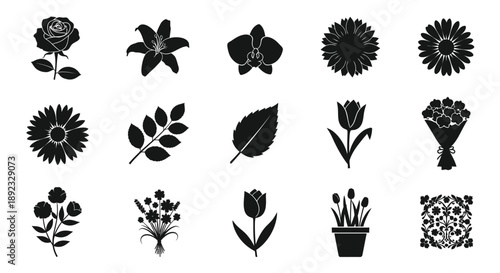 Collection of different silhouette of flowers and leaves