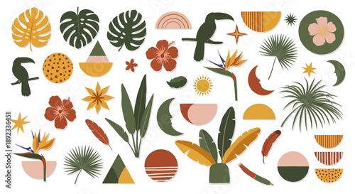 Bohemian tropical arrangement with toucan, leaves, flowers and abstract geometrical shapes,