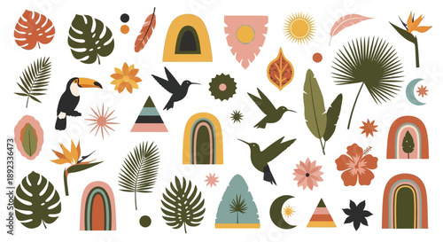 Boho tropical elements with toucans hummingbirds leaves rainbows and flowers on white background