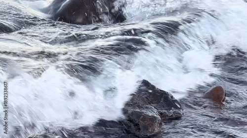 Calm ocean waves washing a rocky shore at dawn, soft pastel blue light before sunrise, minimal coastal scenery conveying freedom, travel lifestyle, nature balance, environment and relaxing seaside mor