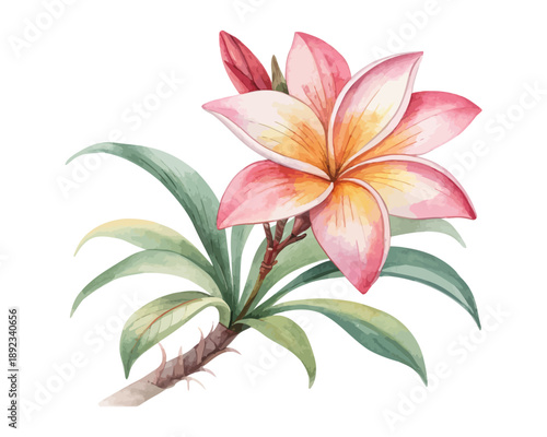 Exotic Bromeliad Watercolor Flower, Tropical Botanical Clipart Illustration Isolated on White