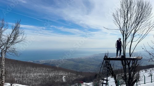 trees in the mountains
