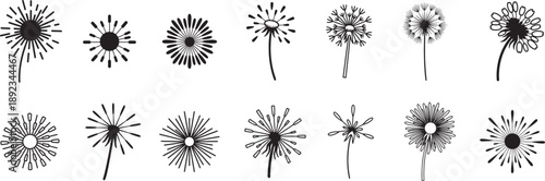 Outline drawing Dandelion flower silhouette line clipart symbol collection.Dandelion flower silhouette doodle hand drawn icon set