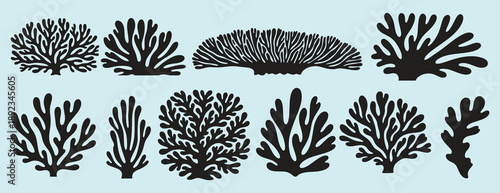 coral abstract shape matisse geometric set. poster organic art coral poster.contemporary minimal style. trendy boho marine corals illustrations