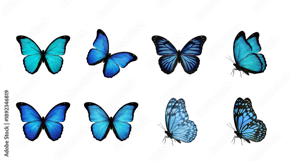 Fototapeta premium Blue butterfly set including morpho, swallowtail, and spotted wing variants isolated. Exotic tropical insect collection for nature and wildlife design.