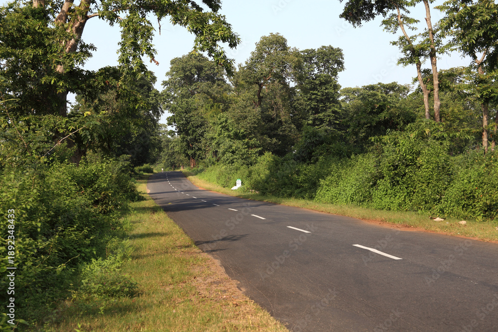 Obraz premium road in the countryside