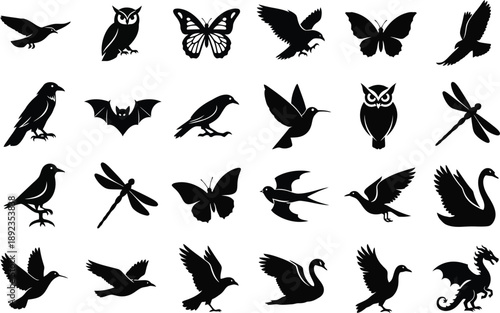 Collection of various bird and insect silhouettes on white background