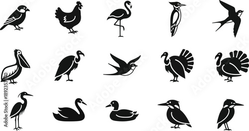 Collection of various bird species silhouettes