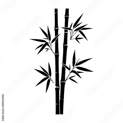 bamboo vector illustration