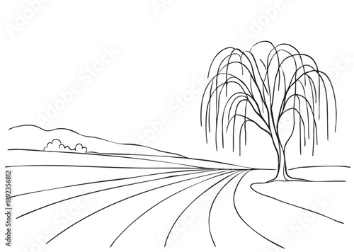 Early spring landscape. line sketch landscape willow at the end of the fields