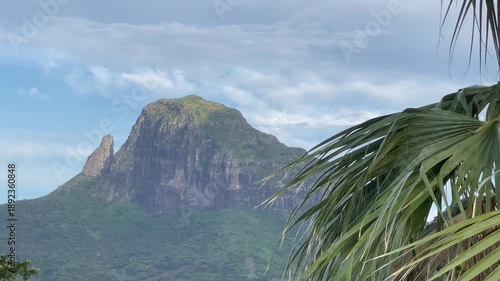Majestic Mountain in Mauritius with Tropical Palm Leaf Foreground