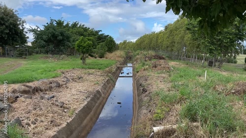 Rural Irrigation Canal Stretching Through Green Tree Lined Landscape Under Cloudy Blue Sky