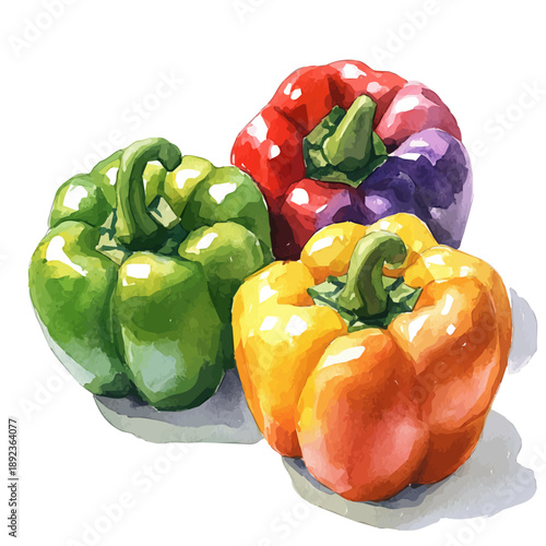 Stuffed Bell Peppers, artistic watercolor illustration vector, isolated on a white background.