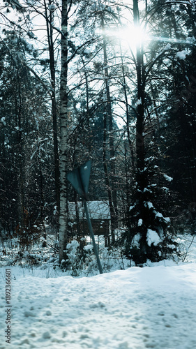 Trees have fallen in the forest due to snow, trees are lying on the roads, roads are closed, snow chaos in Germany, shoveling snow, snow in the forest, snow on the cars, snow in the village