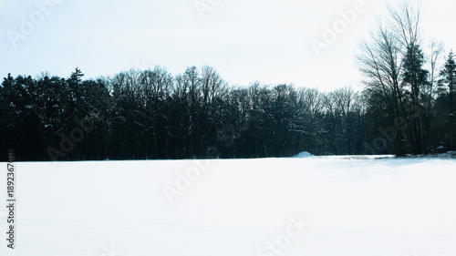 Trees have fallen in the forest due to snow, trees are lying on the roads, roads are closed, snow chaos in Germany, shoveling snow, snow in the forest, snow on the cars, snow in the village