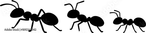 Ant Silhouette Icon. transparent background