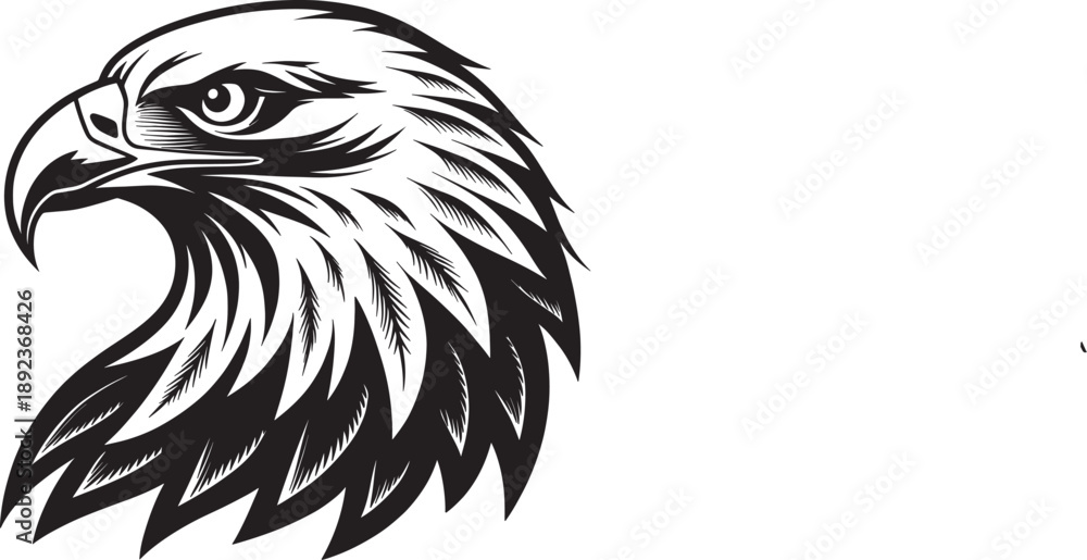 Fototapeta premium Detailed eagle head illustration black and white on transparent background silhouette