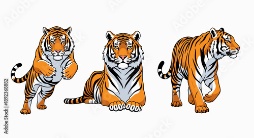 Set of three distinct cartoon tigers showing different powerful poses and majestic orange and black striped markings