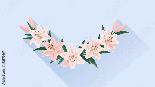 Delicate pink lilies arranged in a graceful arc with green leaves casting long shadows