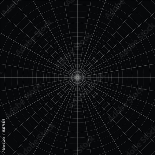 Radial Grid with Concentric Circles and Central Point on Black Background