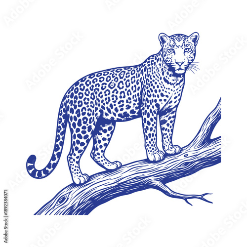 Leopard on a tree branch svg 