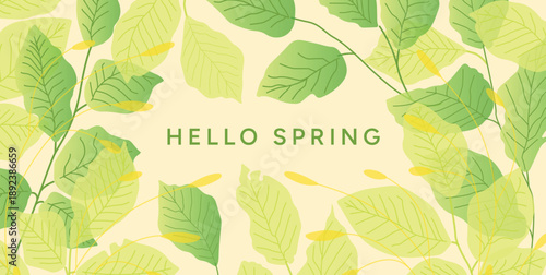 Hello Spring greeting card with hand drawn green leaves and buds, soft pastel botanical background, delicate spring nature illustration for womens day 8 march and mothers day. Flat vector illustration