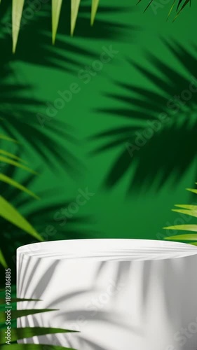 Wallpaper Mural White Podium Display Surrounded by Lush Green Tropical Leaves and Palm Shadows for Product Showcase Torontodigital.ca