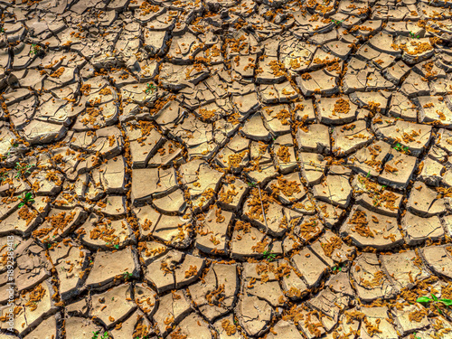 Dried cracked earth revealing drought in the Netherlands