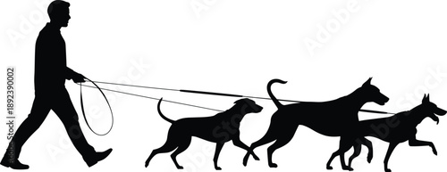 Silhouette of a person walking multiple dogs on leashes, illustrating pet care, outdoor exercise, dog training, and professional dog walking service in an active urban lifestyle setting.