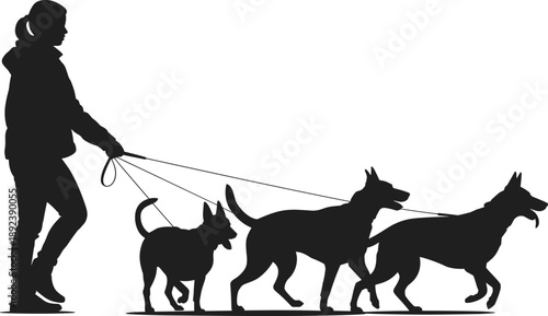 Silhouette of a woman walking three energetic dogs on leashes outdoors, symbolizing pet training, exercise, animal care services, urban lifestyle, and professional dog walking activities