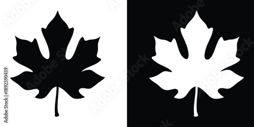 maple leaf silhouette, maple leaf vector illustration, maple leaf logo