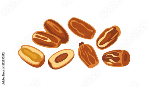 Fresh ripe date fruits vector illustration with whole and sliced dates isolated on white background