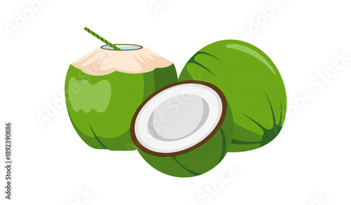Tropical green coconut vector set showing whole and cut fruits for healthy beverage concept