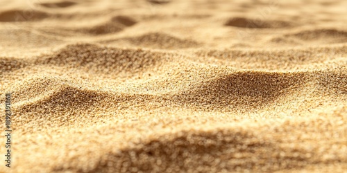 Expansive Sandy Landscape with Smooth Curved Contours and Textured Waves of Windblown Sand