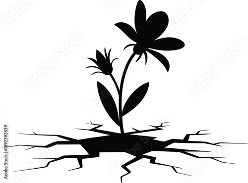 Resilient Flower Growing From Cracks