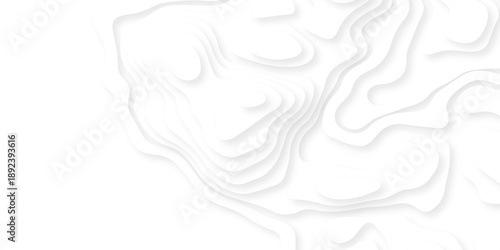 Papercut layers and paper cut topography vector art background banner texture. Abstract white paper cut background with realistic shapes. Modern vector illustration for concept design.