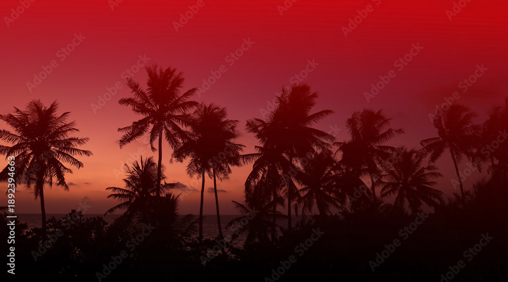 Obraz premium The Tropical palm trees with red sky sunset silhouette in Summer background