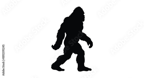 A striking black silhouette depicts a large upright primate walking forward suggesting a mysterious and legendary creature silhouette high quality