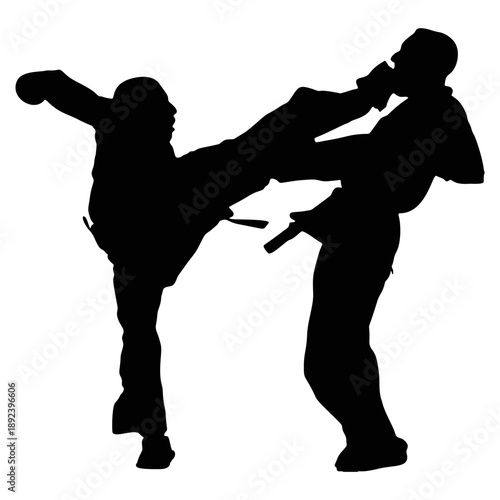 Silhouette of a Karateka Practicing Karate