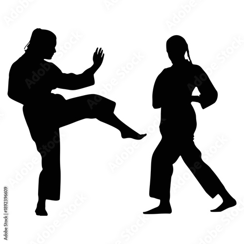 Silhouette of a Karateka Practicing Karate