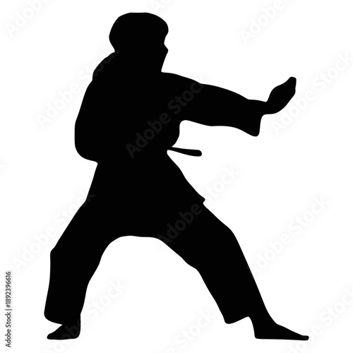 Silhouette of a Karateka Practicing Karate