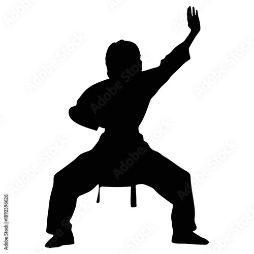 Silhouette of a Karateka Practicing Karate