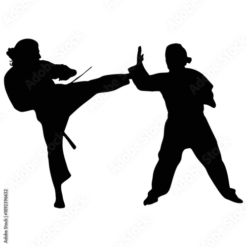 Silhouette of a Karateka Practicing Karate