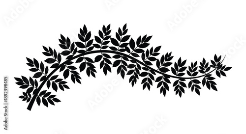 A flowing branch with dense foliage is depicted in a stark black design creating a dramatic silhouette high quality professional