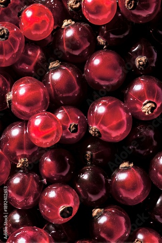 Grosellas rojas frescas con brillo intenso fondo oscuro, Frutas rojas premium para gastronomía de lujo estilo elegante, Fondo vibrante de bayas rojas para publicidad de alimentos