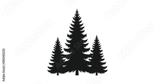 A striking composition showcases three dark evergreen trees against a plain white background creating a bold silhouette high quality professional