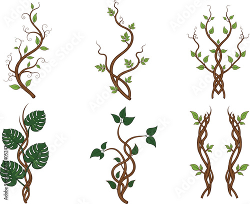 Decorative twisting vine branches collection with green leaves for botanical design vector illustration