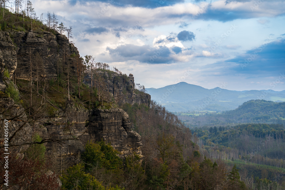 Naklejka premium Hrensko, Czech Republic, Bohemian Switzerland National Park three years after a massive forest fire. The landscape shows dead tree trunks and active regeneration with new greenery under cloudy skies.